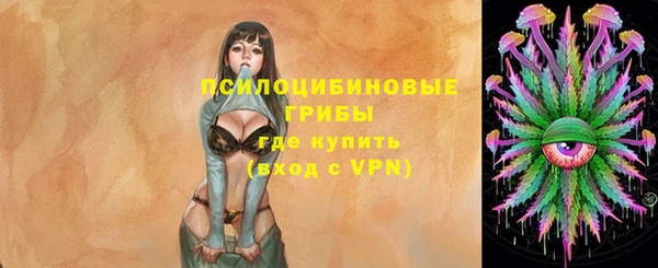 ПСИЛОЦИБИНОВЫЕ ГРИБЫ Богданович